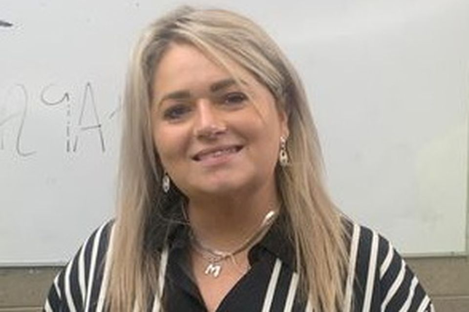 Sinn Féin senator Maria McCormack said the man carried out routine work